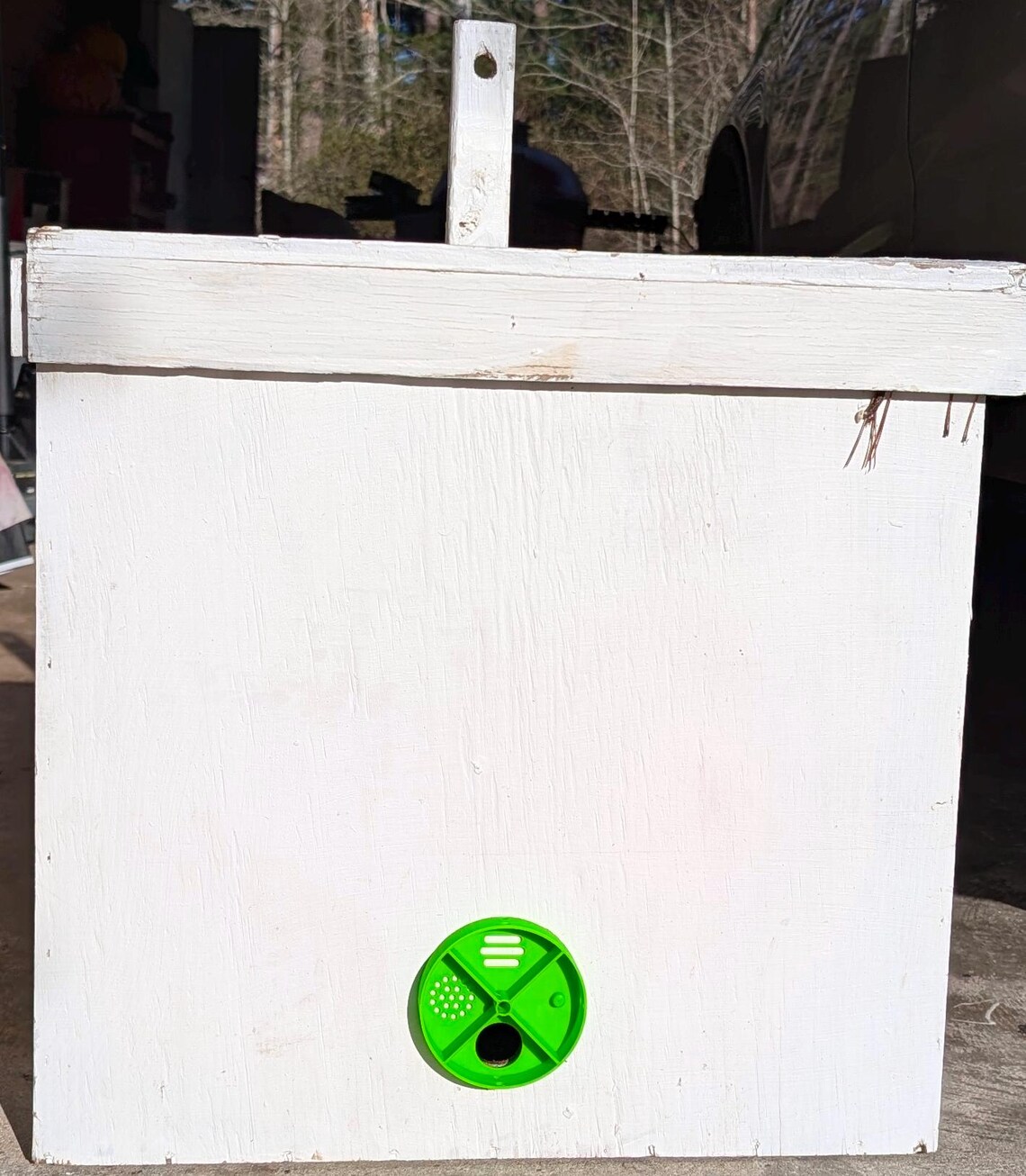UV Swarm Trap Entrance Discs (Set of 2) - Image 4